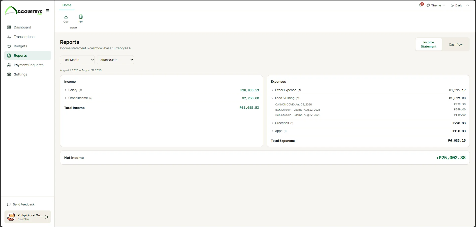 Accountryx Fin income statement report